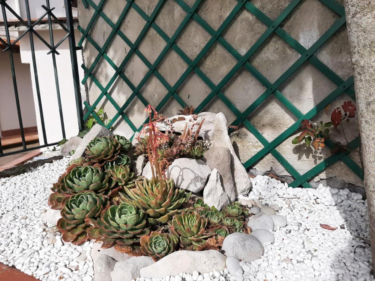 Villa Persico Massa Lubrense Kültér fotó