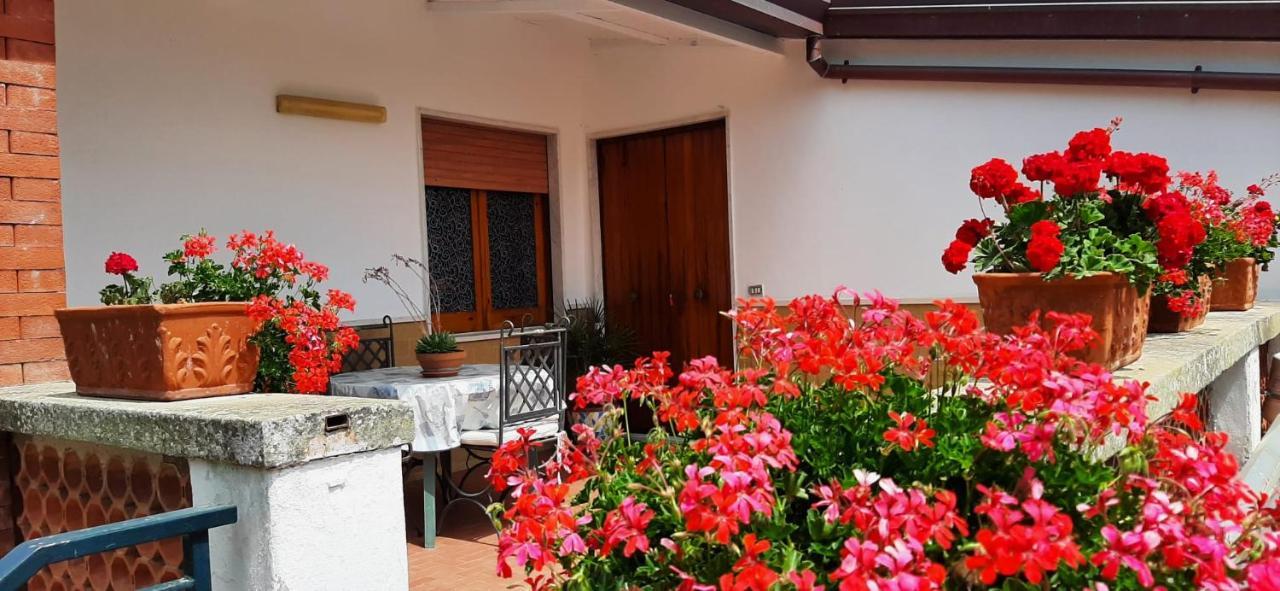 Villa Persico Massa Lubrense Kültér fotó